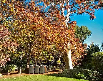 Possum Creek Lodge Gooseberry Hill 0*,  Australie